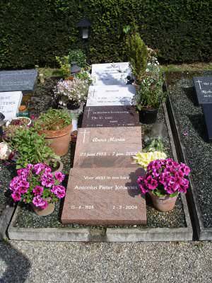 Algemeen graf